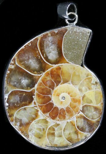 Fossil Ammonite Pendant - Million Years Old #37912